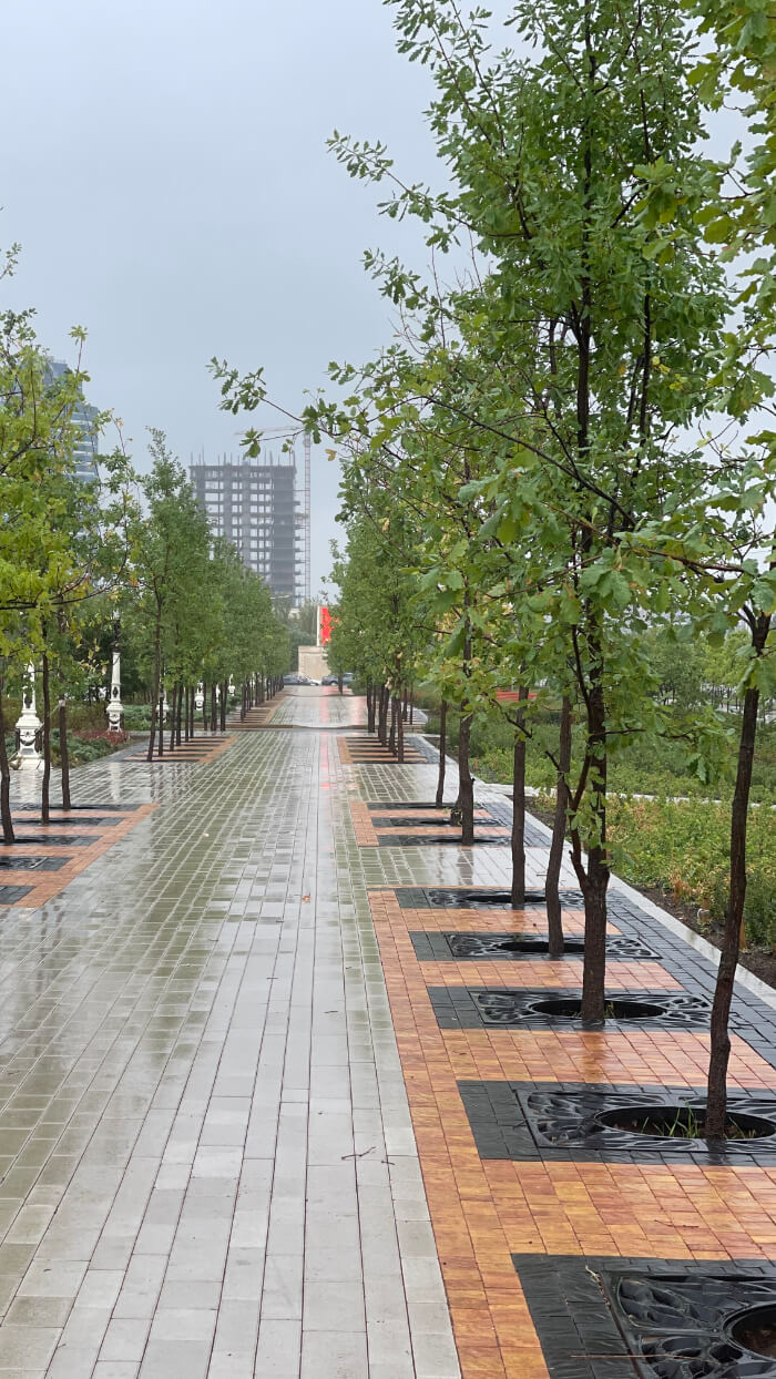 Приствольная решетка для дерева ZKING CRUST 1.2х1.2м Черная в Киржаче фото